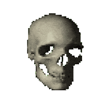 spinning skull